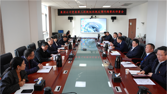 公司黨委召開巡視反饋問題整改部署會(huì)