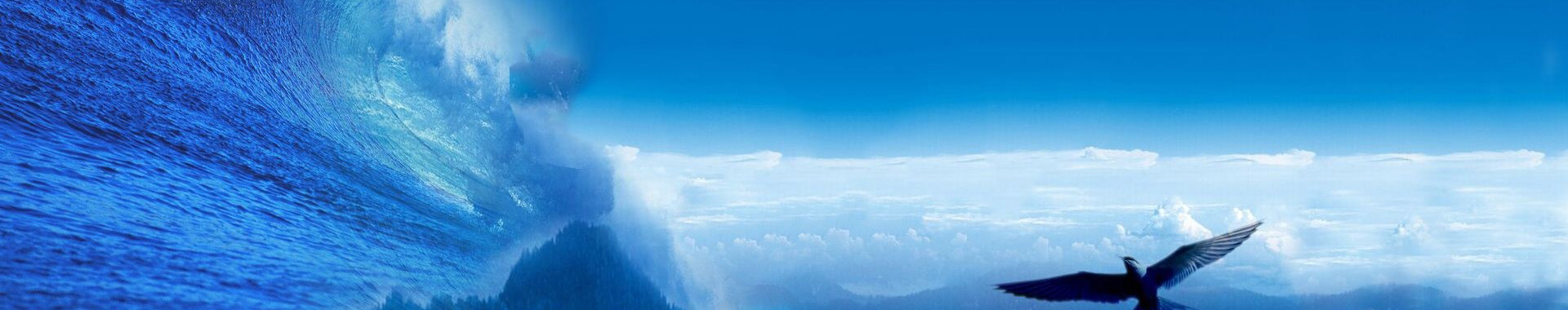 領(lǐng)導(dǎo)團(tuán)隊(duì)